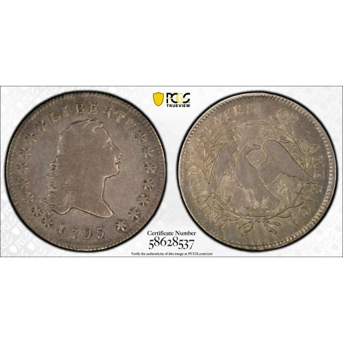 1795 $1 Flowing Hair, 2 Leaves (2)