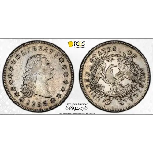 1795 $1 Flowing Hair, 3 Leaves (2)