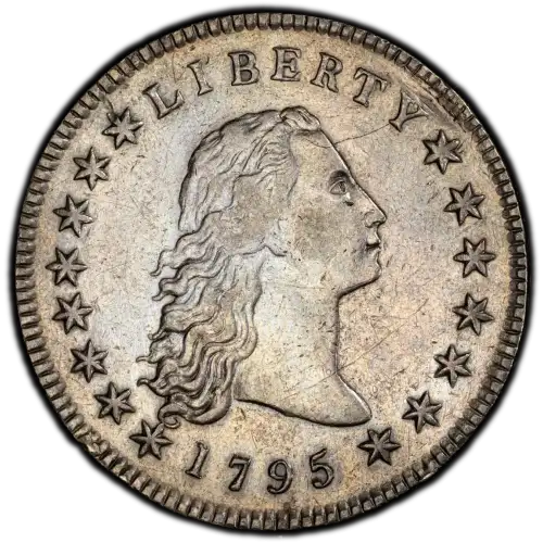 1795 $1 Flowing Hair, 3 Leaves (3)