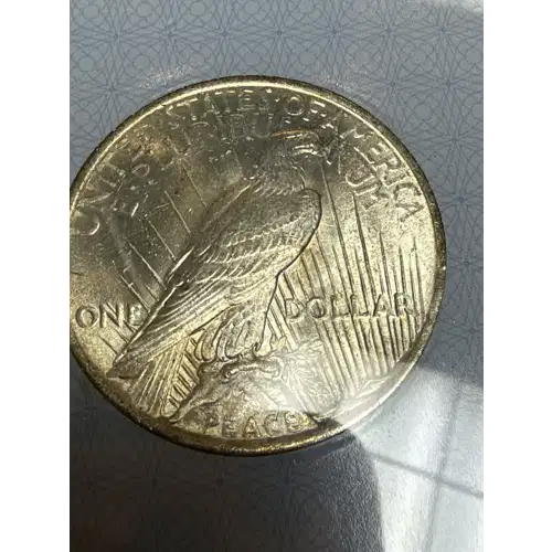 1922  Peace Silver Dollar Other MS-62 (2)