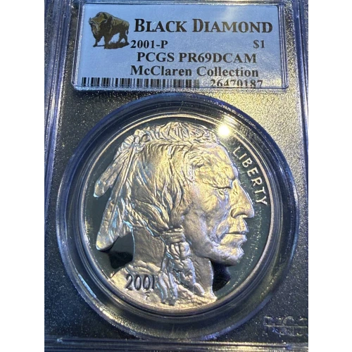 2001-P $1 Buffalo, DCAM (2)