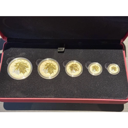 2014 Fine Silver Fractional Coin Set 1 oz 1/2 oz 1/4 oz 1/10 oz 1/20 oz Canadian Maple Leaf