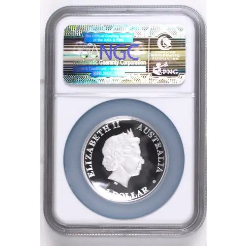 2015P Koala - High Relief ULTRA CAMEO (3)