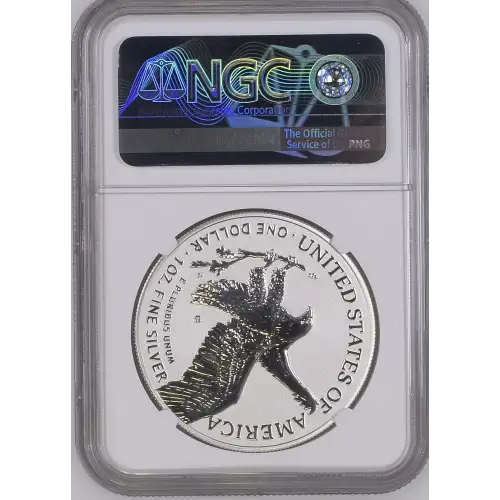 2021 S Eagle Landing T-2 Silver Design Set (3)