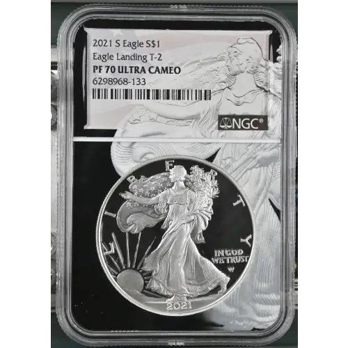 2021 S Eagle Landing T-2 ULTRA CAMEO (2)