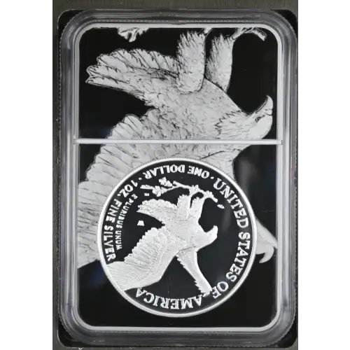 2021 S Eagle Landing T-2 ULTRA CAMEO (3)