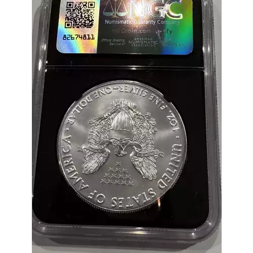 2021 T-1 Heraldic Silver Eagle 1oz Magnum Opus Black Core NGC (2)