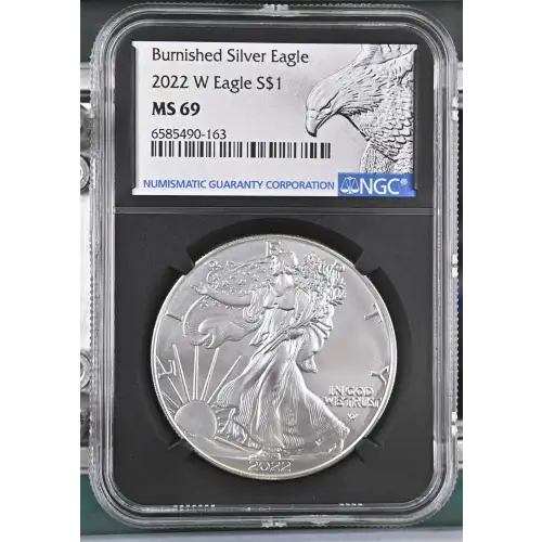 2022 W Burnished Silver Eagle (2)