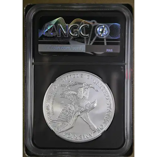 2022 W Burnished Silver Eagle (3)