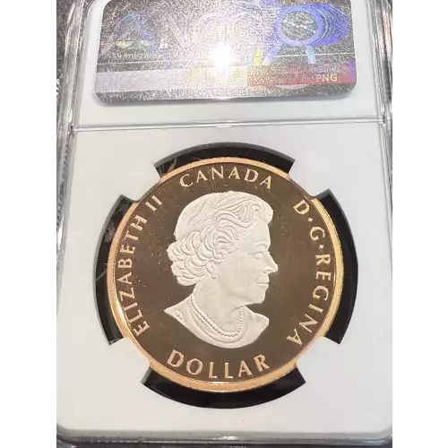 2023 1oz Peace Dollar - Rose Gilt Pulsating - UHR - FDI ULTRA CAMEO (5)