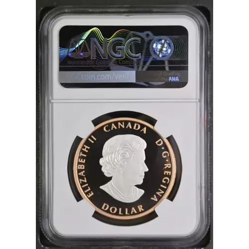 2023 1oz Peace Dollar - Rose Gilt Pulsating - UHR - FDI ULTRA CAMEO (4)