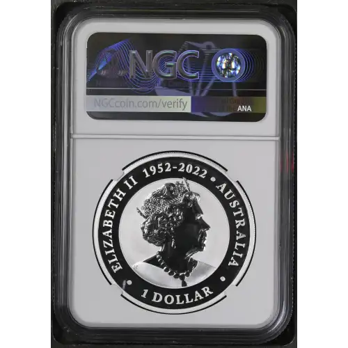 2023P Wedge-Tailed Eagle Colorized-First Releases (3)