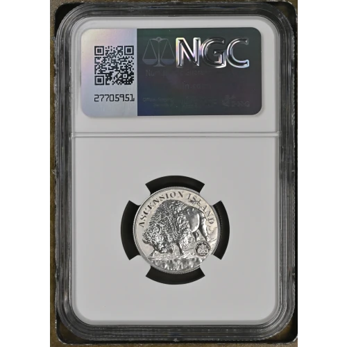 2024 1/4oz Damstra Frac. Buffalo Set Early Releases (3)