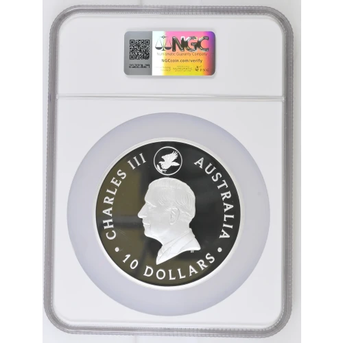 2024 P125 Wedge-Tailed Eagle - 10oz 10th Anniversary - FDI ULTRA CAMEO (3)