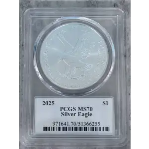 2025 $1 Silver Eagle Ultra Breaks