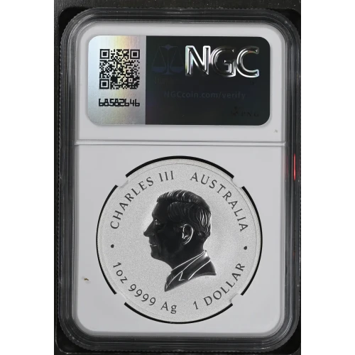 2025P Year of the Snake First Releases (3)