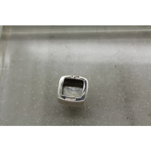 LORI BONN .925 S.S. SOCIAL BUTTERFLY SQUARE SLIDE CHARM