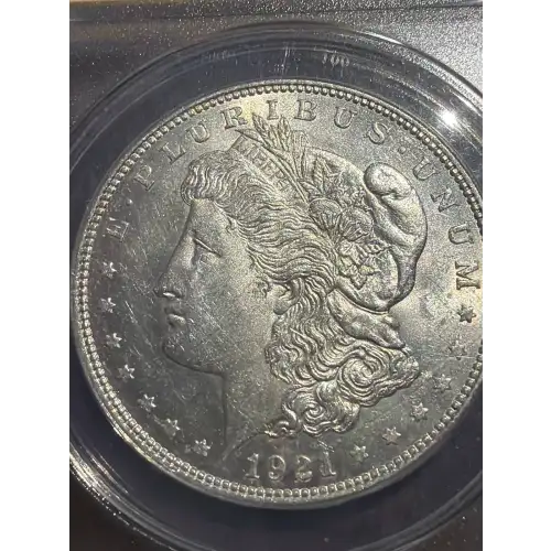 Morgan Silver Dollar