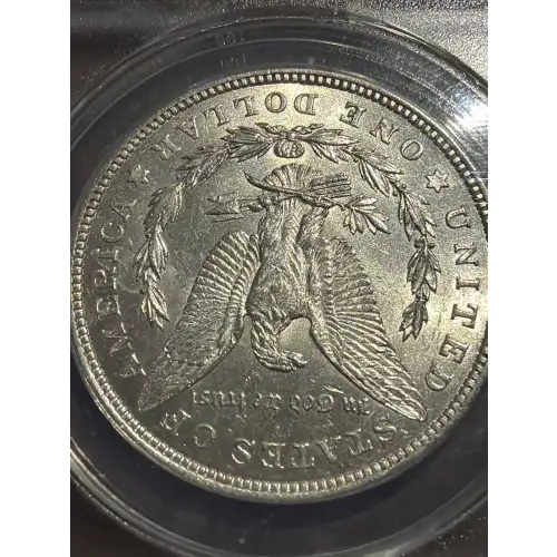 Morgan Silver Dollar
