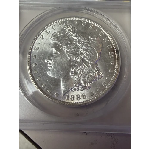 Morgan Silver Dollar
