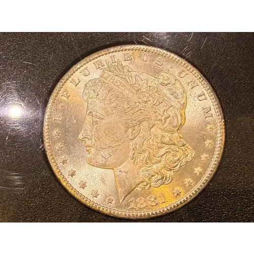 Morgan Silver Dollar