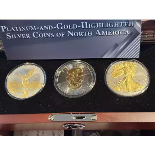 Platinum and Gold Highlighted Silver Coins of North America Libertad Maple Eagle