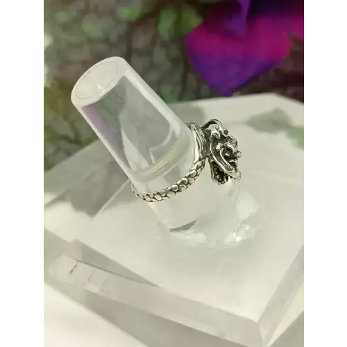 Silver 925 Ring (2)