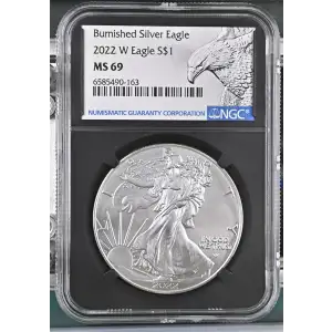 2022 W Burnished Silver Eagle (2)