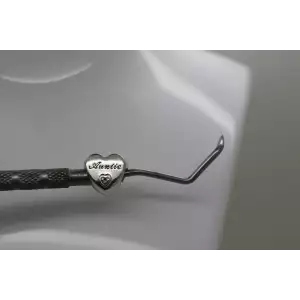 PANDORA ALE .925 Sterling Silver with accent stones AUNTIE charm bead