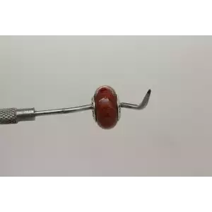 Authentic PANDORA ALE .925 S.S. ACAPU WOOD CHARM BEAD