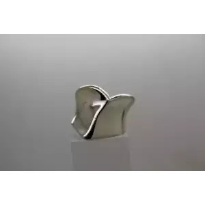 RLM STUDIOS ROBERT LEE MORRIS DESIGN FORGIVE  .925 Sterling ring size 5, 15g