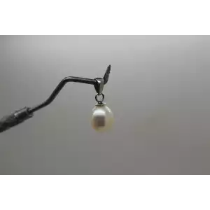IPS IMPERIAL PEARL SYNDICATE .925 S.S. CHAMPAGNE PEARL pendant