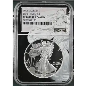 2021 S Eagle Landing T-2 ULTRA CAMEO (2)