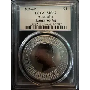 Australian Kangaroo