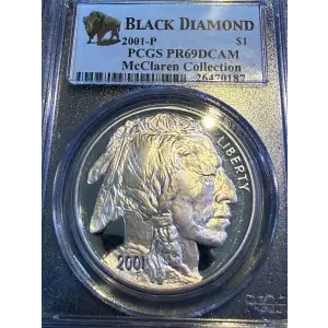 2001-P $1 Buffalo, DCAM (2)