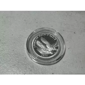 2024 Cook Island 1/4 oz .999 Fine Silver $2 American Double Eagle Coin