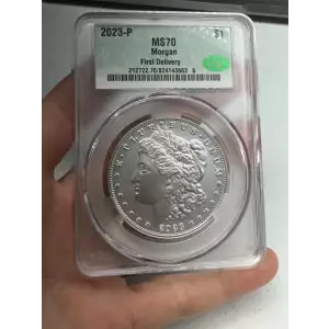 Morgan Silver Dollar