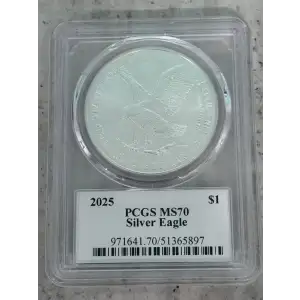 2025 $1 Silver Eagle Ultra Breaks (2)