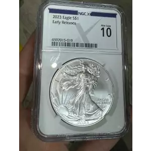 Silver Eagles