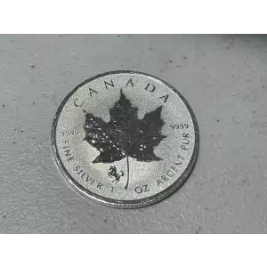 2014 Reverse Proof 1 oz .9999 Fine Silver Maple Leaf Horse Privy Mark Canada $5 Coin