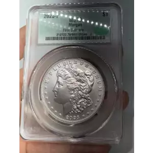 Morgan Silver Dollar