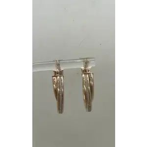 R.G. Vermeil .925 S.S. GLITTER EFFECT DOUBLE HOOP earrings