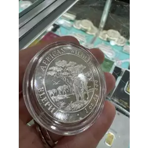 2012 Somali Republic 100 Shillings African Wildlife Elephant 1 oz 999 Silver Coin