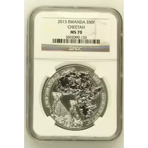 2013 CHEETAHS AFRICAN OUNCE SERIES  (2)