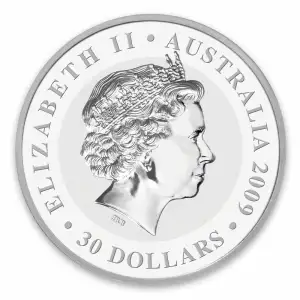 2009 1kg Australian Perth Mint Silver Koala (2)