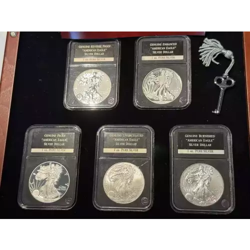 The Complete Set of American Eagle .999 Fine Silver $1 Dollars 5 Coins Wooden Case
