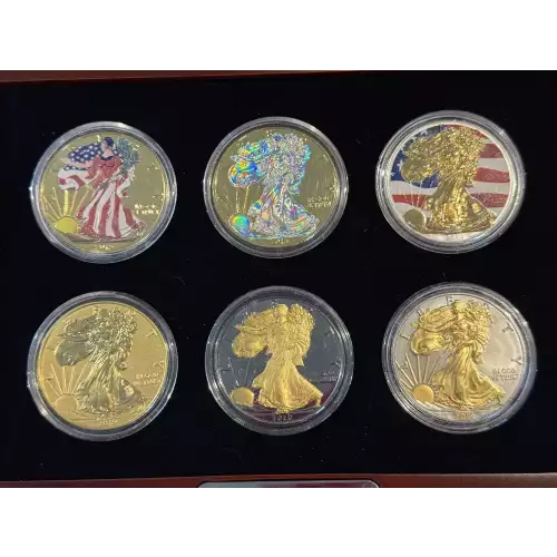 Visions of Liberty 6 $1 Coin Set American Silver Eagle w/ Case